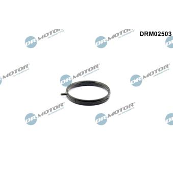 Joint, tuyau de liquide de refroidissement Dr.Motor [DRM02503]
