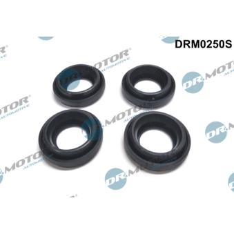 Joint d'étanchéité, porte-injecteur Dr.Motor DRM0250S pour SUBARU LEGACY 2.0 D-4D - 110cv