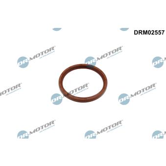 Bague d'étanchéité, vilebrequin Dr.Motor [DRM02557]