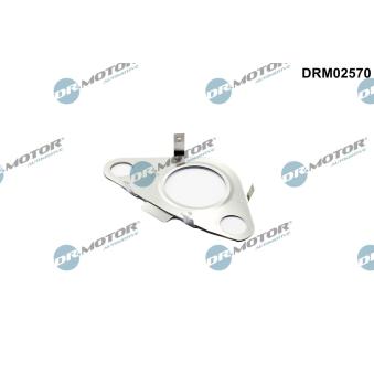Joint, flexible vanne EGR Dr.Motor [DRM02570]
