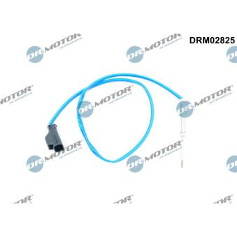 Capteur, température des gaz Dr.Motor DRM02825 pour FORD C-MAX 2.0 TDCi - 170cv
