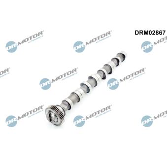 Arbre à came Dr.Motor DRM02867 pour CITROEN JUMPER 2.0 TDI - 110cv
