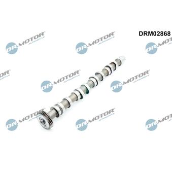 Arbre à came Dr.Motor DRM02868 pour CITROEN JUMPER 2.0 TDI - 110cv