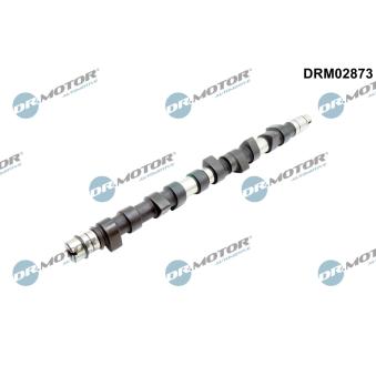 Arbre à came Dr.Motor DRM02873 pour AUDI A6 2.5 TDI - 140cv