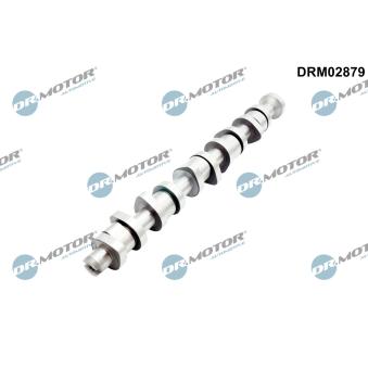Arbre à came Dr.Motor OEM 070109101Q