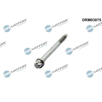 Vis, support pour controleur d'injecteurs Dr.Motor [DRM03075]