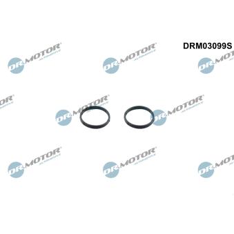 Kit de joints, pompe à huile Dr.Motor [DRM03099S]