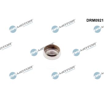 Bouchon, axe de culbuteurs-nez fileté Dr.Motor [DRM0921]