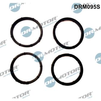 Jeu de joints d'étanchéité, collecteur d'admission Dr.Motor [DRM095S]