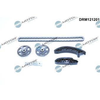 Kit de distribution par chaîne Dr.Motor OEM 6510500100 Kit de distribution par chaîne Dr.Motor OEM 6510500100