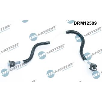 Tuyau, carburant de fuite Dr.Motor [DRM12509]