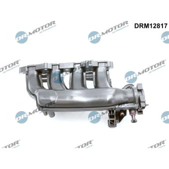 Module de tube d'admission Dr.Motor DRM12817 pour BMW Z4 E 200 Kompressor - 184cv