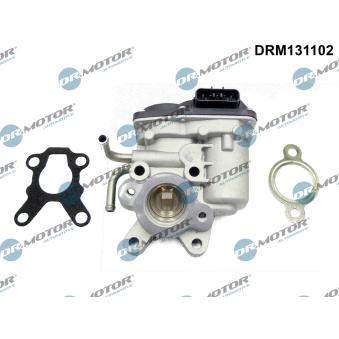 Vanne EGR Dr.Motor [DRM131102]