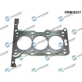 Joint d'étanchéité, culasse Dr.Motor OEM 5607058