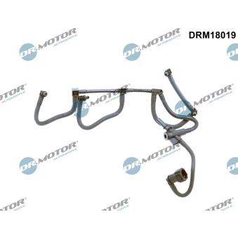 Tuyau, carburant de fuite Dr.Motor [DRM18019]