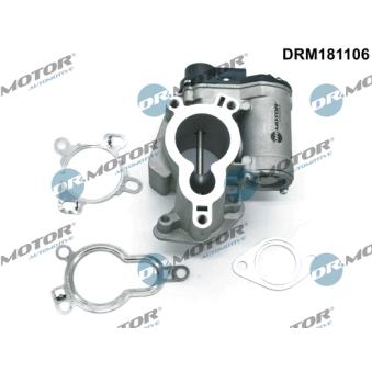 Vanne EGR Dr.Motor [DRM181106]