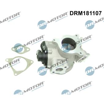 Vanne EGR Dr.Motor DRM181107 pour RENAULT MASTER 2.5 DCI - 146cv