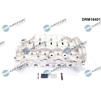 Culasse de cylindre Dr.Motor DRM18401 pour RENAULT MASTER 2.3 DCI - 146cv