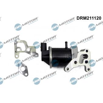Vanne EGR Dr.Motor OEM 030131503F