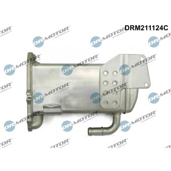 Radiateur, réaspiration des gaz d'échappement Dr.Motor OEM 03L131512BG