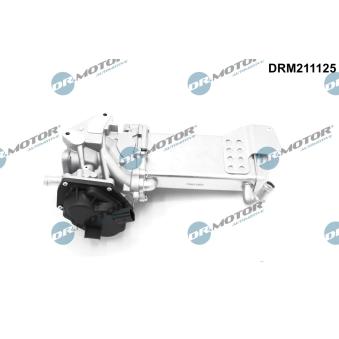 Vanne EGR Dr.Motor OEM 03L131512AQ