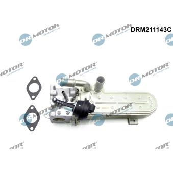 Radiateur, réaspiration des gaz d'échappement Dr.Motor OEM 03G131513D