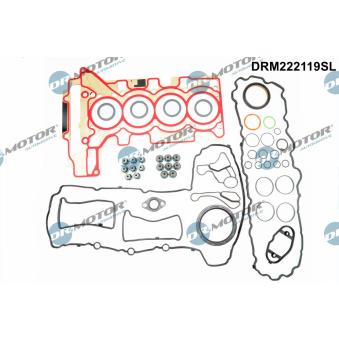 Pochette moteur complète Dr.Motor OEM 11377502022
