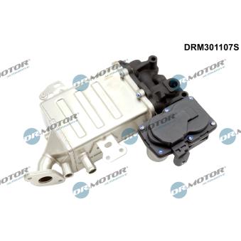 Radiateur, réaspiration des gaz d'échappement Dr.Motor OEM 04l131512TV