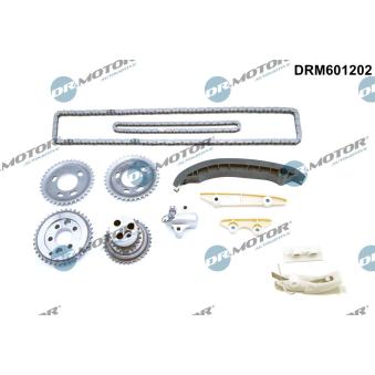 Kit de distribution par chaîne Dr.Motor OEM 1753161 Kit de distribution par chaîne Dr.Motor OEM 1753161