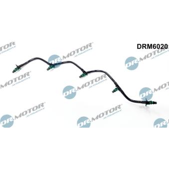 Tuyau, carburant de fuite Dr.Motor [DRM6020]