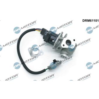 Vanne EGR Dr.Motor OEM 1254382 Vanne EGR Dr.Motor OEM 1254382
