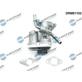Vanne EGR Dr.Motor DRM61102 pour CITROEN C4 2.2 TDCi - 110cv