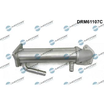 Radiateur, réaspiration des gaz d'échappement Dr.Motor OEM CK3Q9F464AB