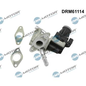 Vanne EGR Dr.Motor DRM61114 pour CITROEN C4 2.2 TDCi - 110cv