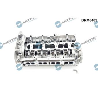 Culasse de cylindre Dr.Motor OEM 1700101 Culasse de cylindre Dr.Motor OEM 1700101