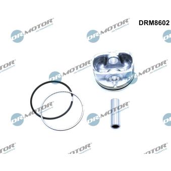 Piston Dr.Motor [DRM8602]