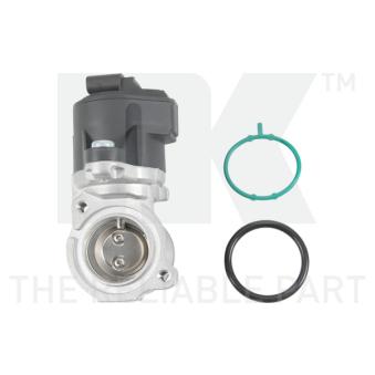 Vanne EGR NK [4533012]