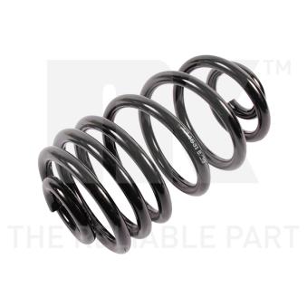 Ressort de suspension NK OEM 424407 Ressort de suspension NK OEM 424407