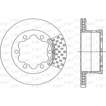 Jeu de 2 disques de frein arrière OPEN PARTS OEM 2D0615601B
