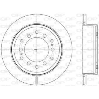 Jeu de 2 disques de frein arrière OPEN PARTS OEM 424310K230