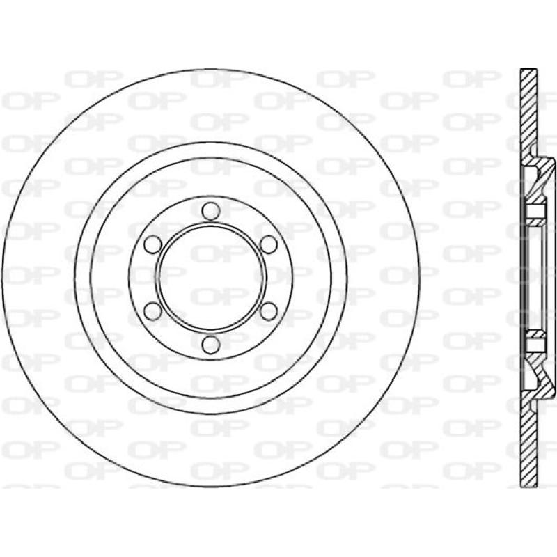 Jeu de 2 disques de frein arrière OPEN PARTS BDR1003.10 - Visuel 1