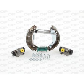 Kit de freins arrière (prémontés) OPEN PARTS [BSK2041.02]