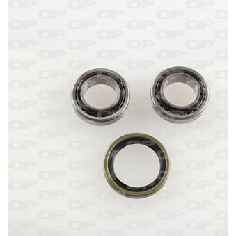 Roulement de roue arrière OPEN PARTS [HBK5076.00]