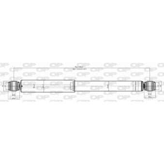 Jeu de 2 amortisseurs arrière OPEN PARTS OEM 4170065J10