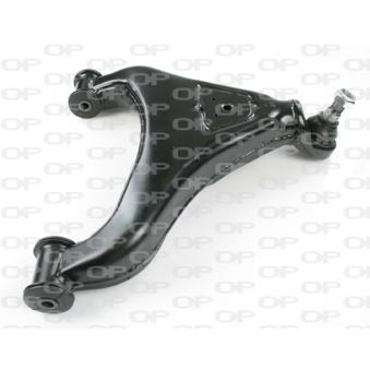 Triangle ou bras de suspension (train avant) OPEN PARTS OEM 2D0407022B