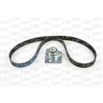 Kit de distribution OPEN PARTS OEM 1680600Q0A