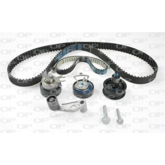 Kit de distribution OPEN PARTS OEM 036198119F