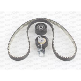 Kit de distribution OPEN PARTS OEM FM5Q8A615AA