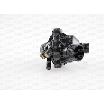 Thermostat, liquide de refroidissement OPEN PARTS TRM1097.00