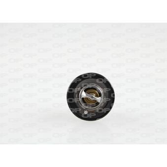 Thermostat, liquide de refroidissement OPEN PARTS OEM 19301P07306
